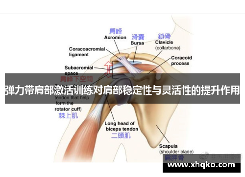 弹力带肩部激活训练对肩部稳定性与灵活性的提升作用